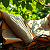 Article: Thorns of the Living Word: Scripture Entwined in the Verdant Silence