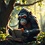 Poetry: Herein lies a jungle library,  a green cathedral of leaf and light,  where one wise ape, our...